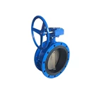 BUTTERFLY VALVE DOUBLE FLANGE 4