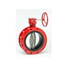 BUTTERFLY VALVE DOUBLE FLANGE 1
