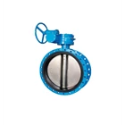 BUTTERFLY VALVE DOUBLE FLANGE 3